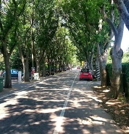 Borik Beach 86 *